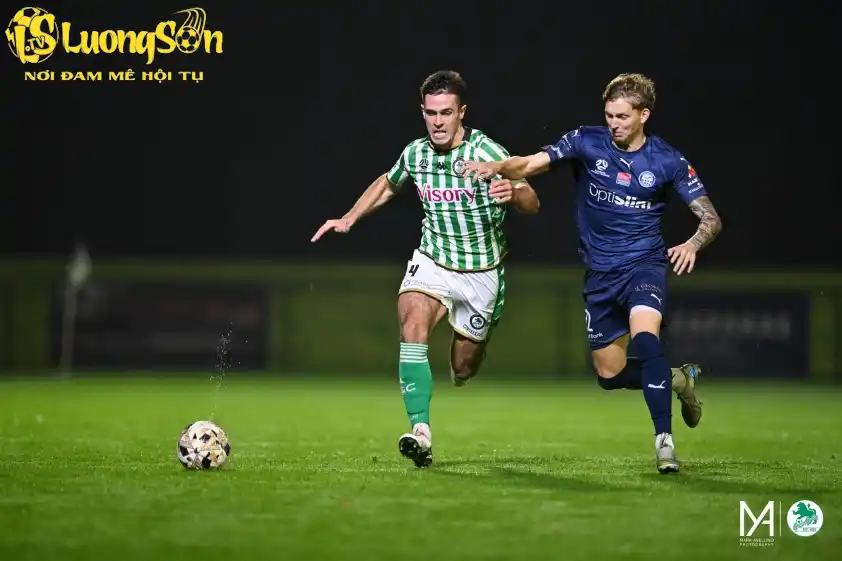 Green Gully được dự đoán sẽ có chiến thắng nhọc nhằn trên sân Melbourne Knights